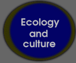 Ecology and culture