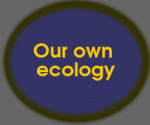 Our own ecology